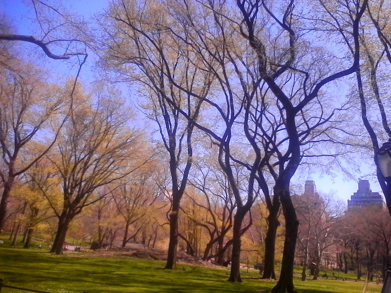 Central Park