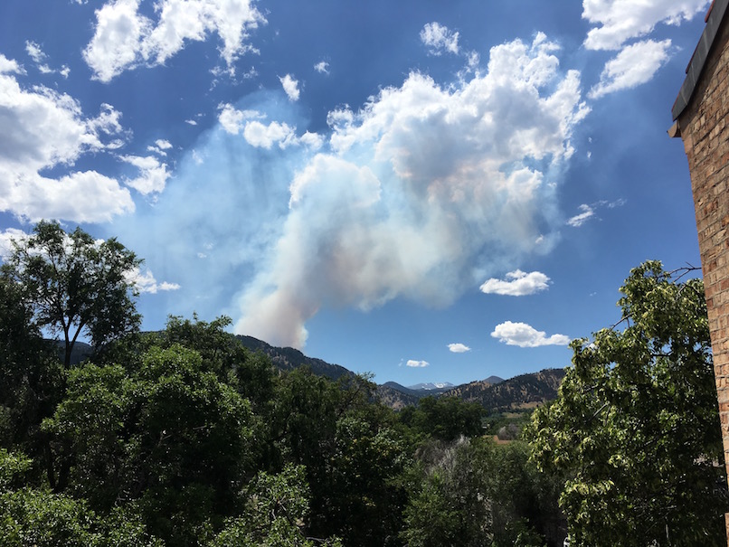 Incendie de forêt