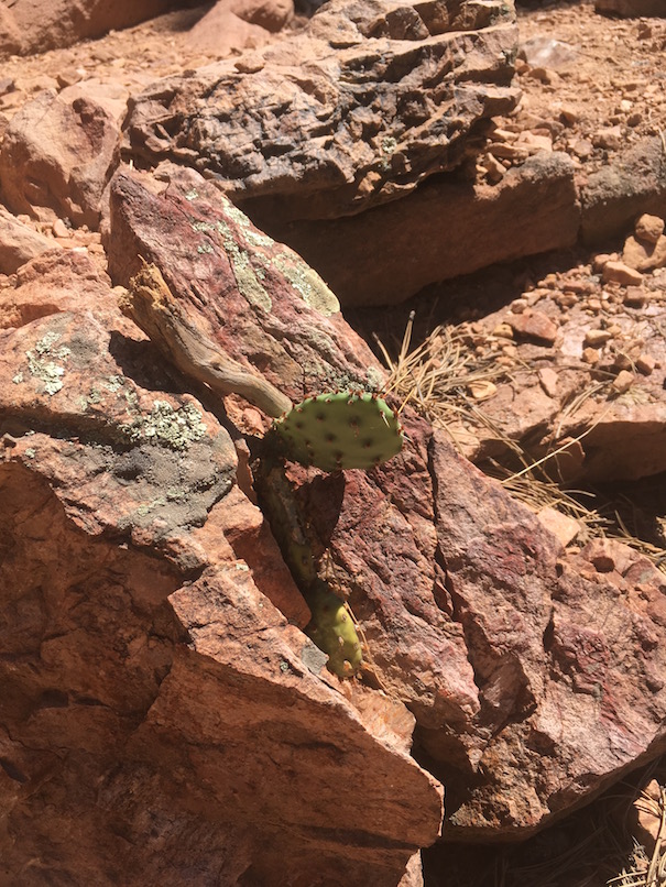 Mount Sanitas Trail