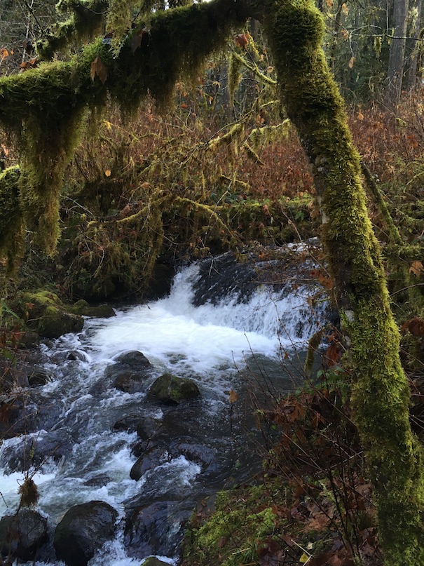 McDowell Creek County Park