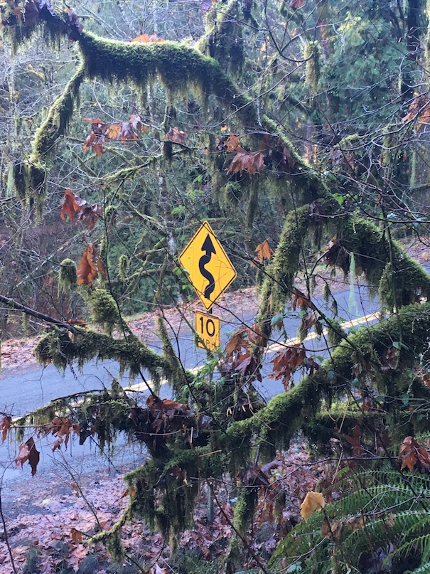 McDowell Creek County Park