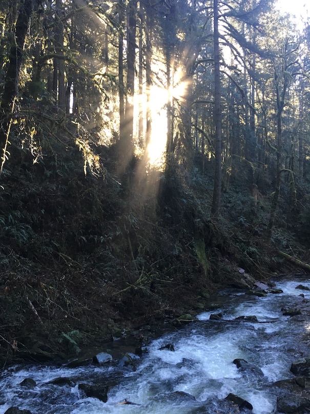 McDowell Creek County Park