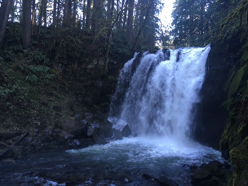 McDowell Creek County Park