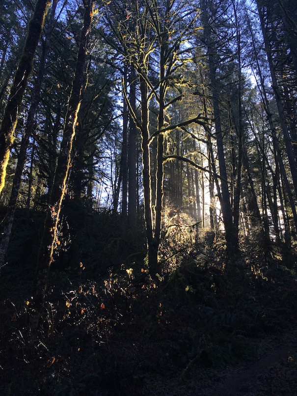 McDowell Creek County Park