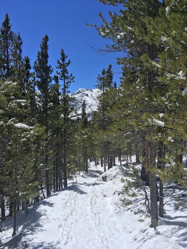 Rocky Mountain National Park