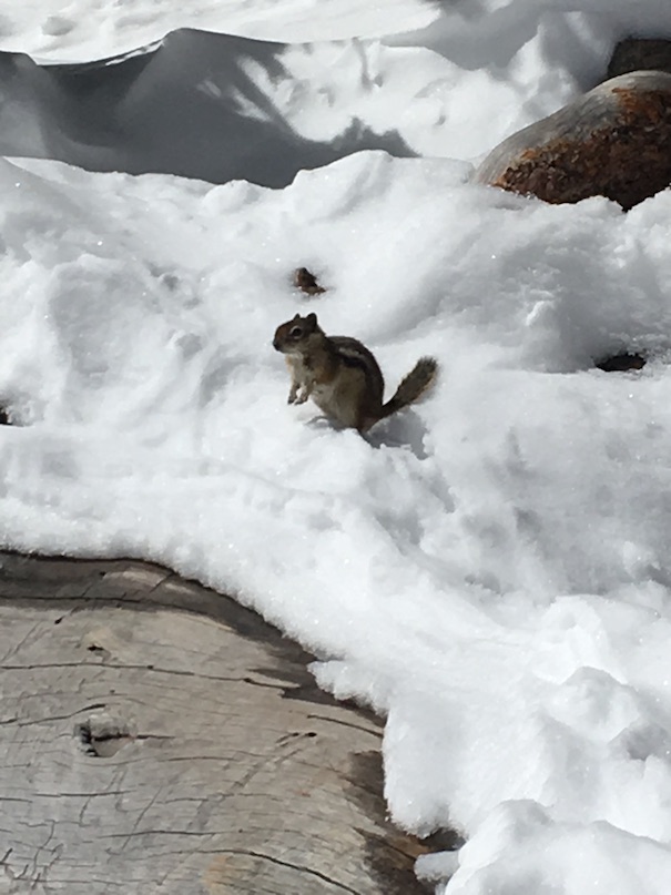 Rocky Mountain National Park