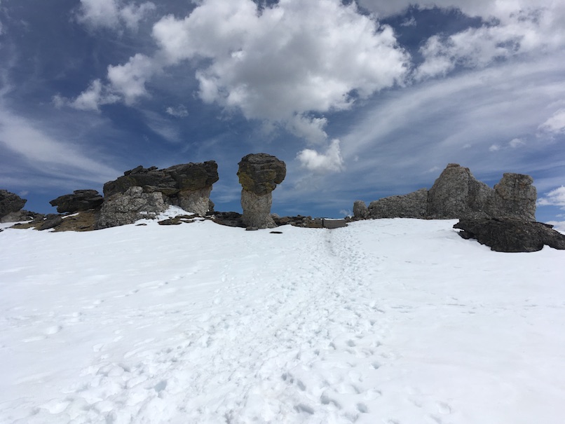 Trail Ridge Road