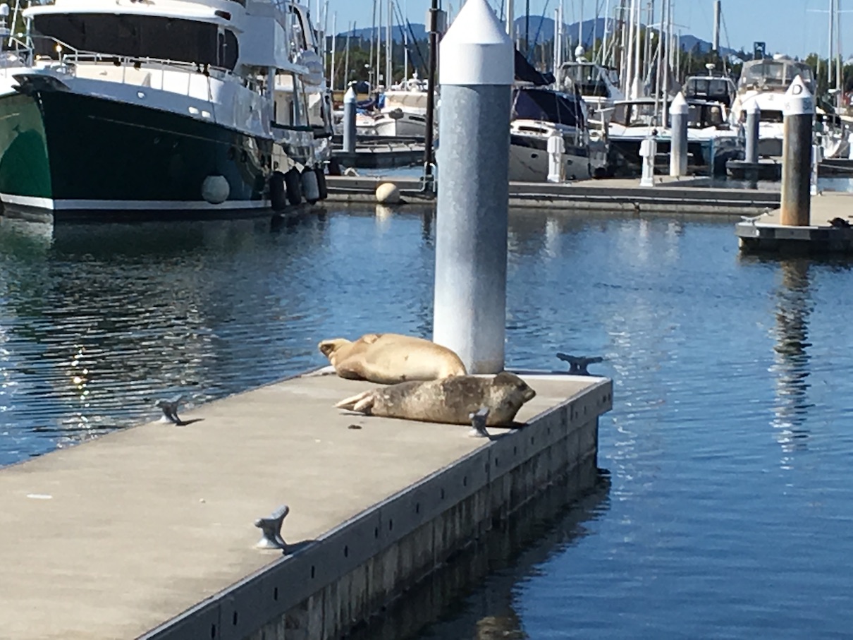 Anacortes