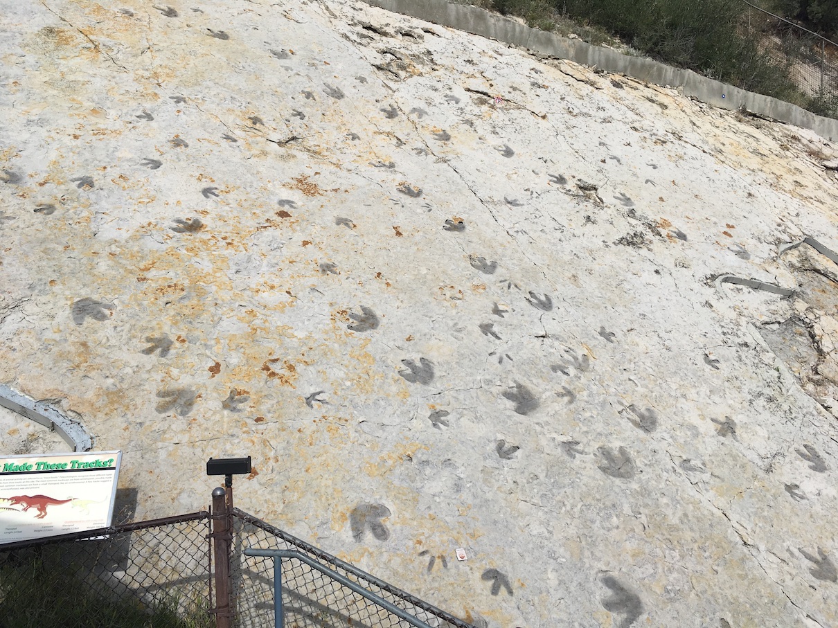 Dinosaur Ridge