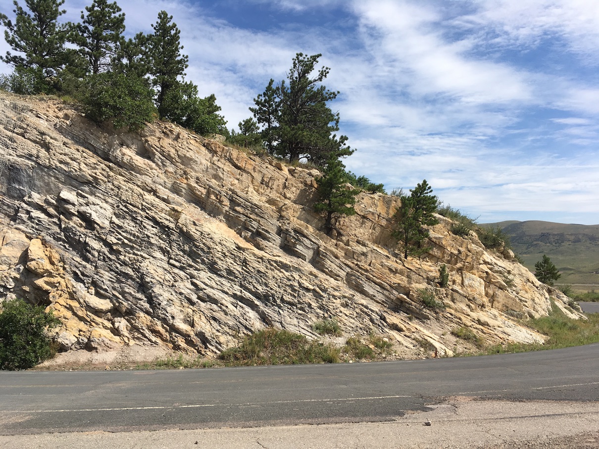 Dinosaur Ridge