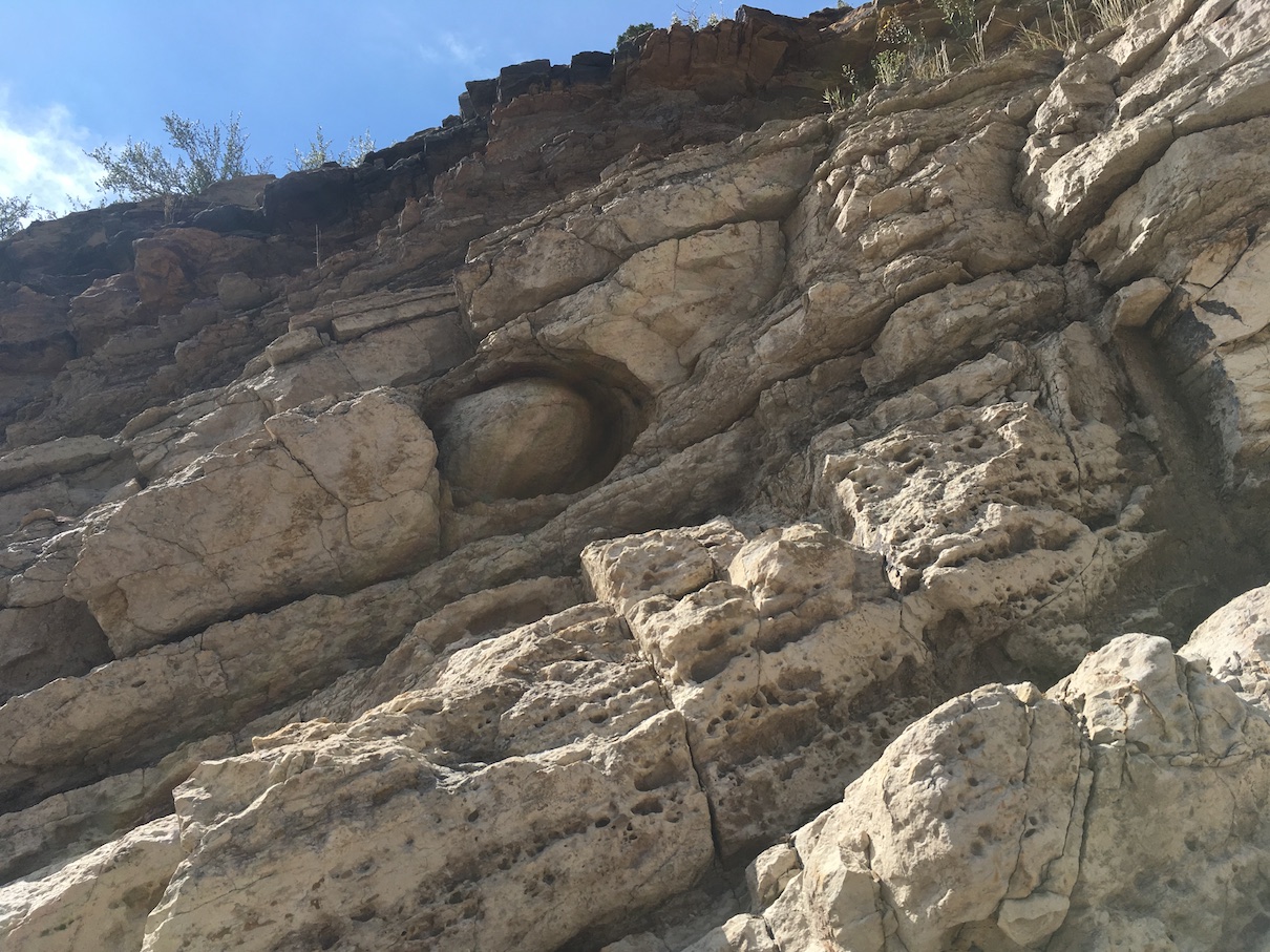 Dinosaur Ridge