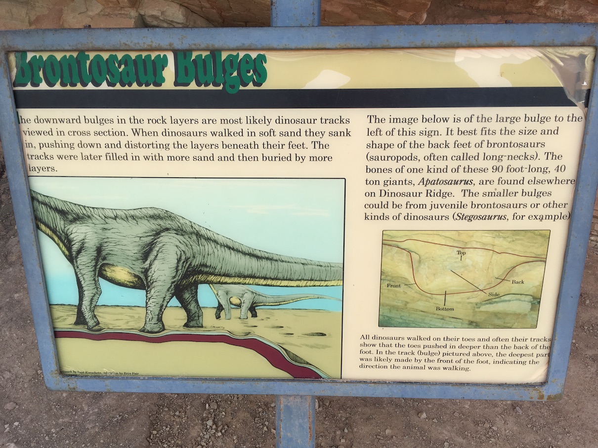 Dinosaur Ridge