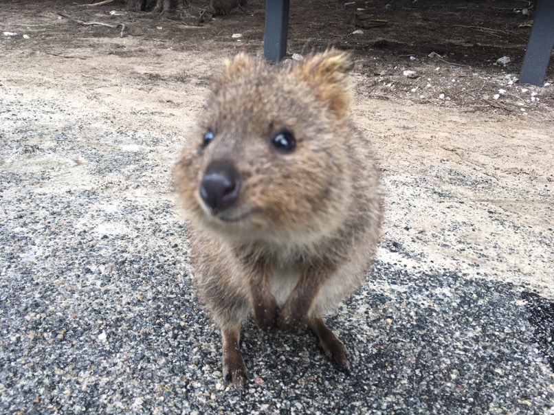 Rottnest Island