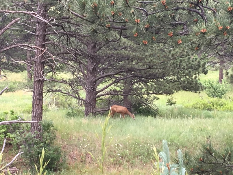 Eldorado Canyon