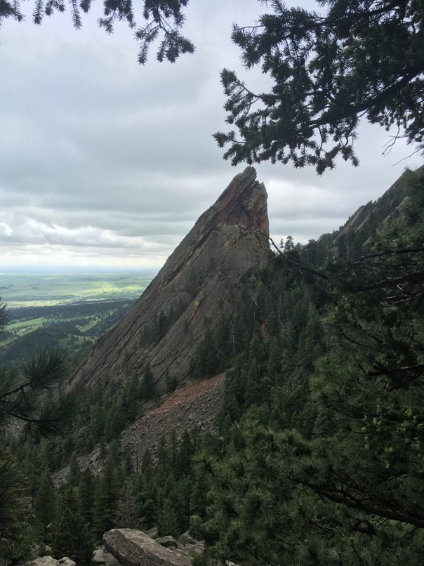 Flat Irons