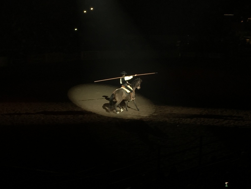 Danseur à cheval