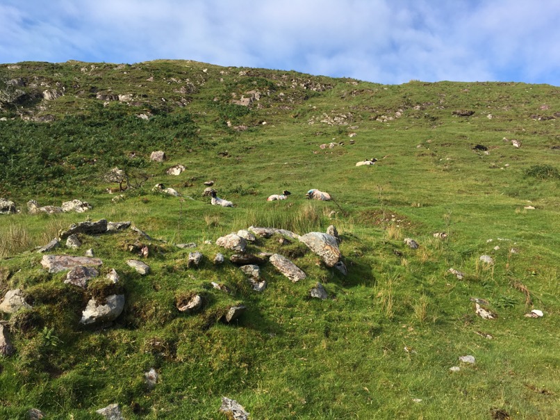 Connemara National Park