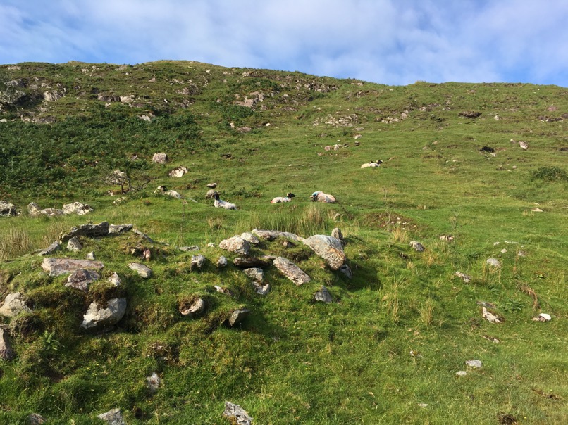 Connemara National Park