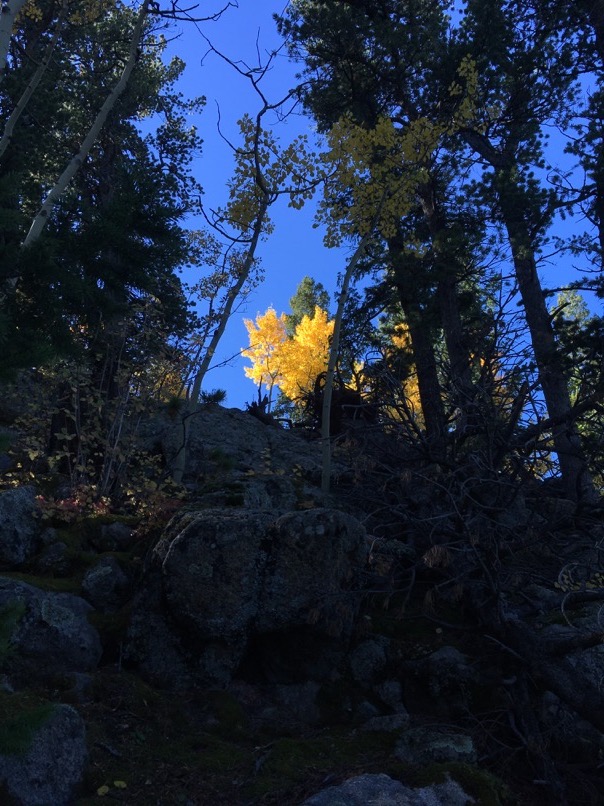 Golden Gate State Park