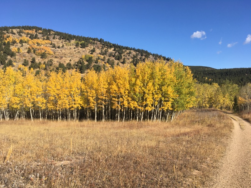 Mud Lake Open Space