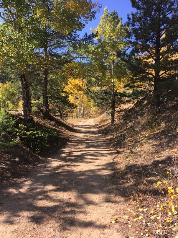 Mud Lake Open Space