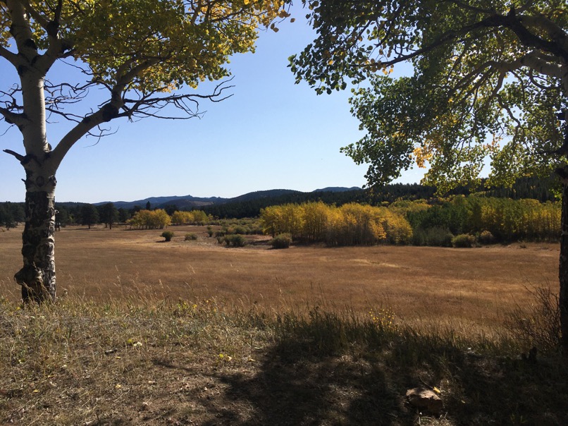 Mud Lake Open Space