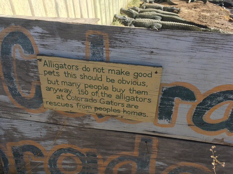 Colorado Gators Reptile Park