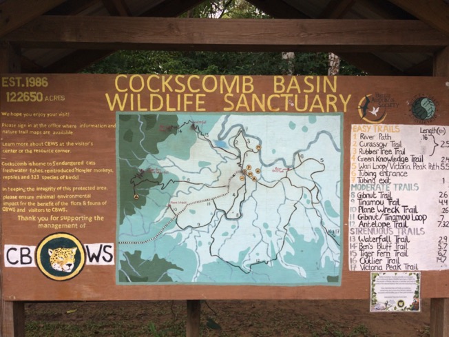 Cockscomb Basin