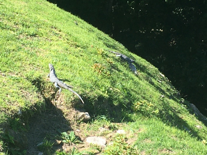 Xunantunich
