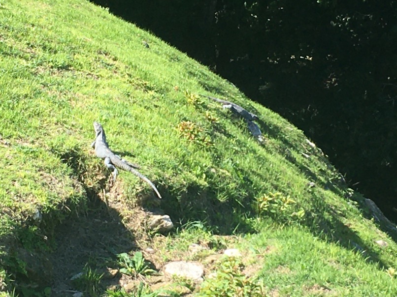 Xunantunich