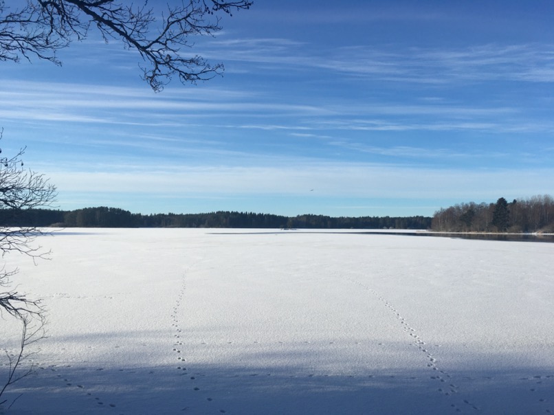Färnebofjärden