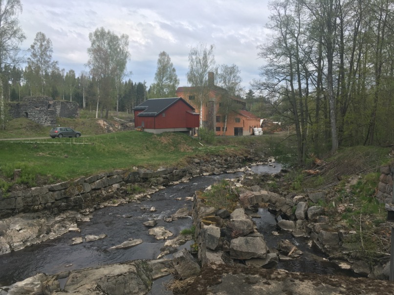Randonnée en forêt