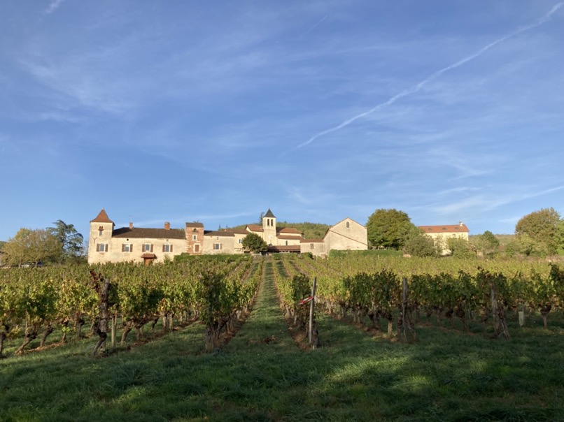 Dans les environs de Saint-Cirq-Lapopie