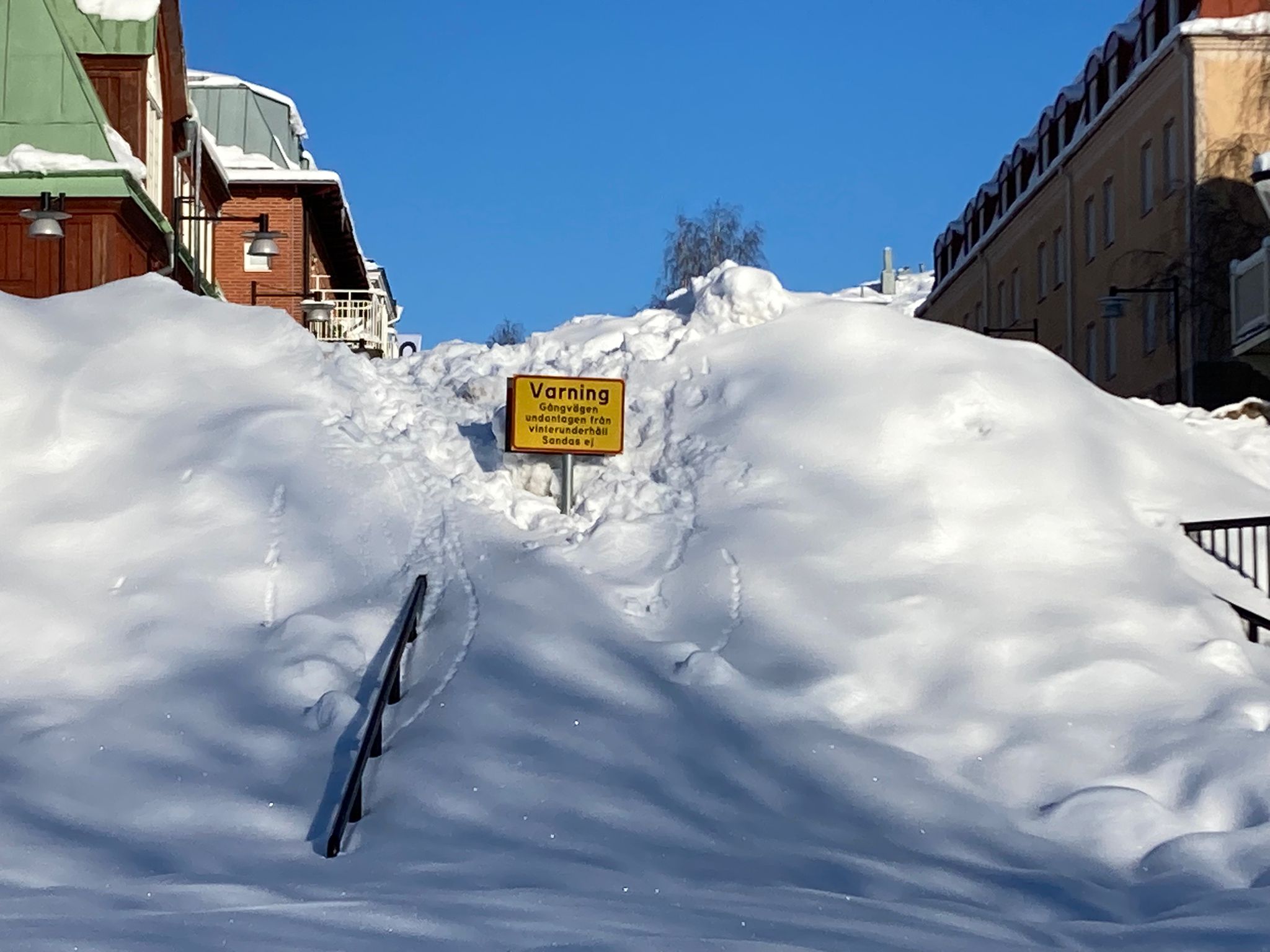 Umeå